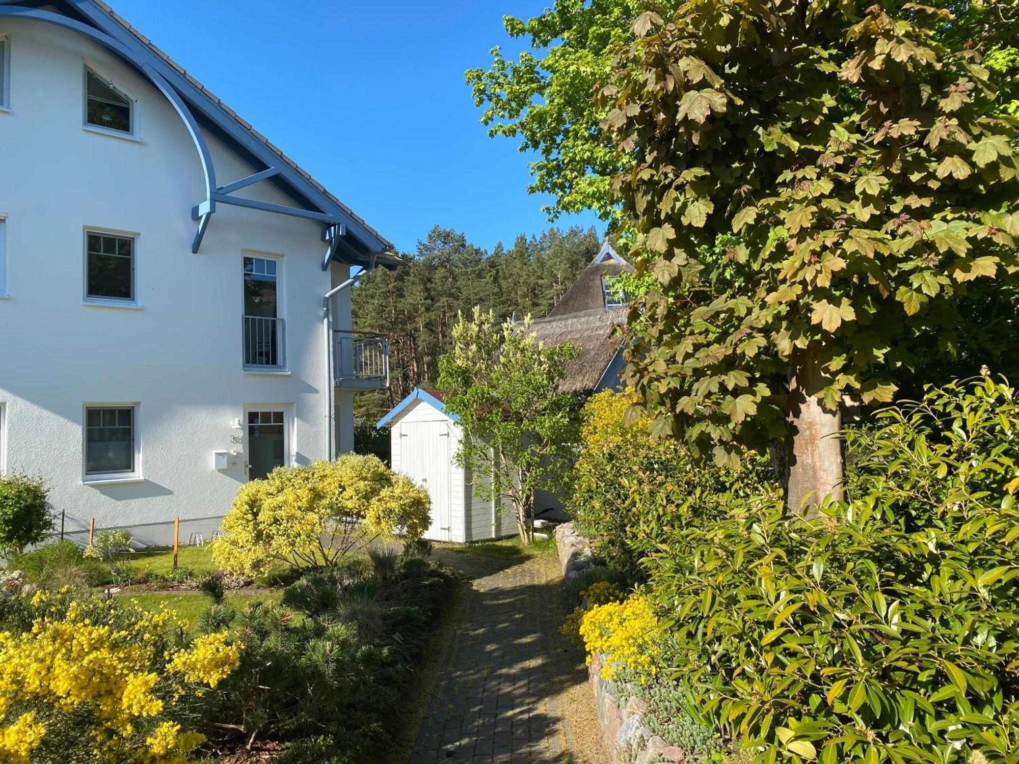Duenenresidenz Karlshagen - Ferienwohnung Ginsterweg Bagian luar foto
