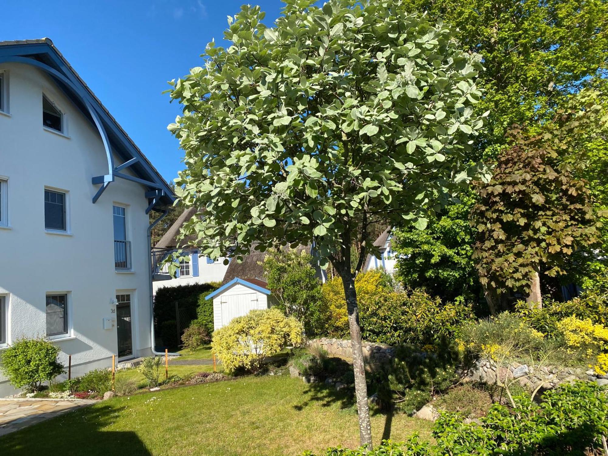 Duenenresidenz Karlshagen - Ferienwohnung Ginsterweg Bagian luar foto